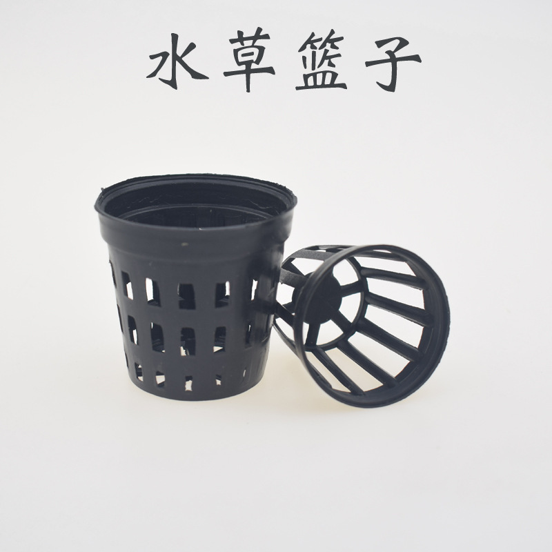 Tissue Culture Plant - 5pcs/lot Fish Tank Plants Planting Basket
