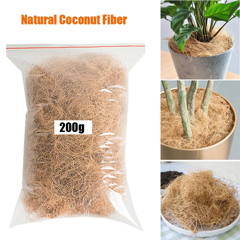Natural Coconut Husk Fiber Flo - Tissue Culture Plant recension och pris