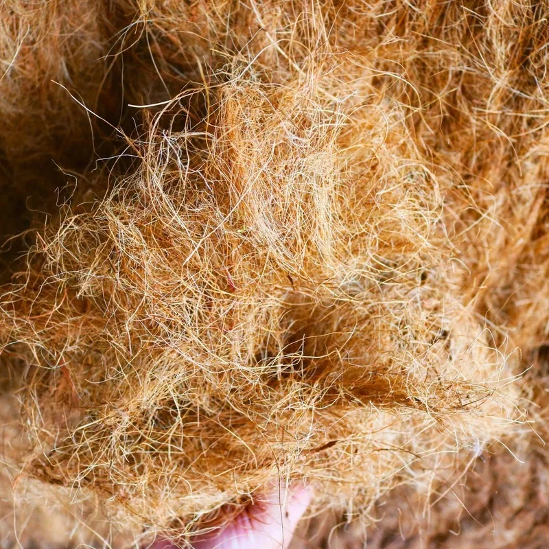 Natural Coconut Husk Fiber Flo - Tissue Culture Plant recension och pris