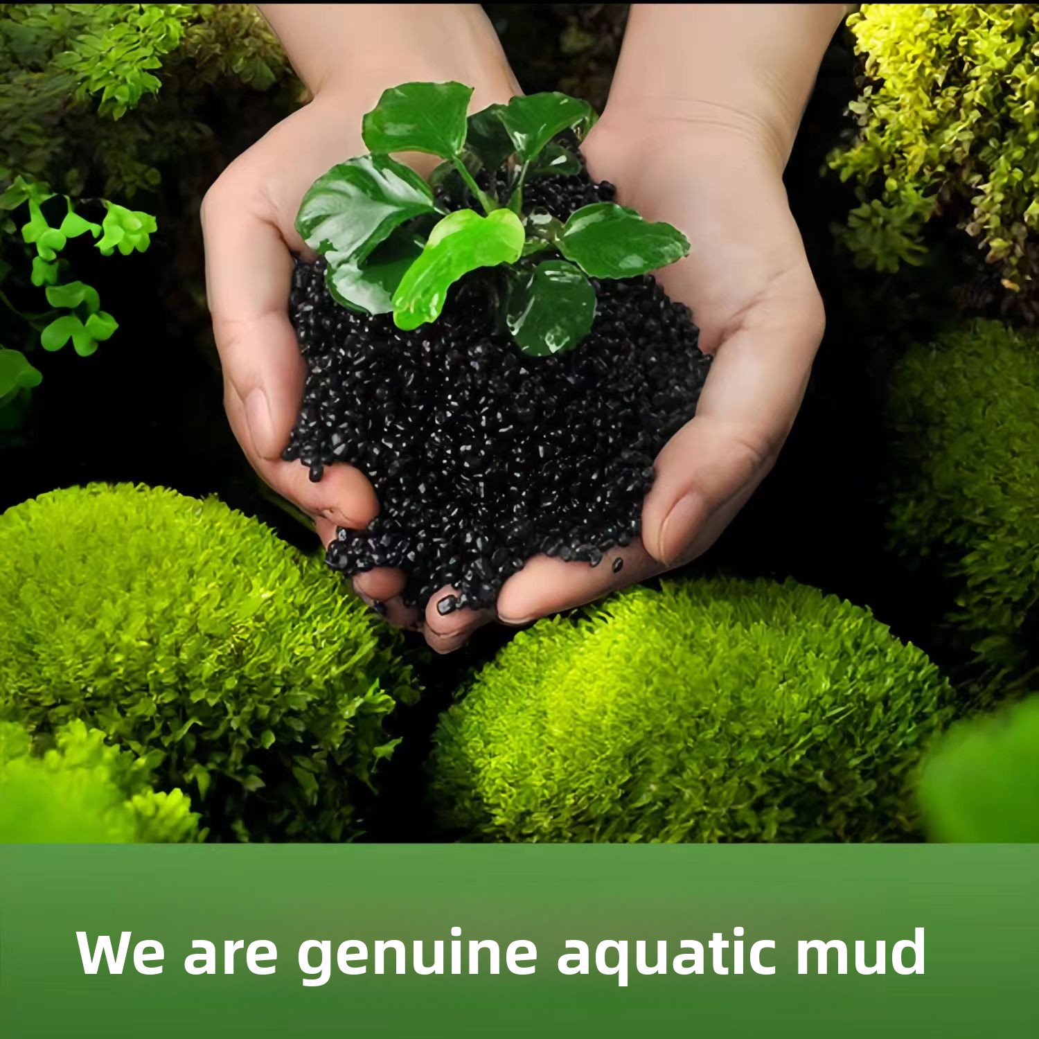 Non-Ceramic Aquatic Plant Mud  - Aquarium Planted Sand recension och pris