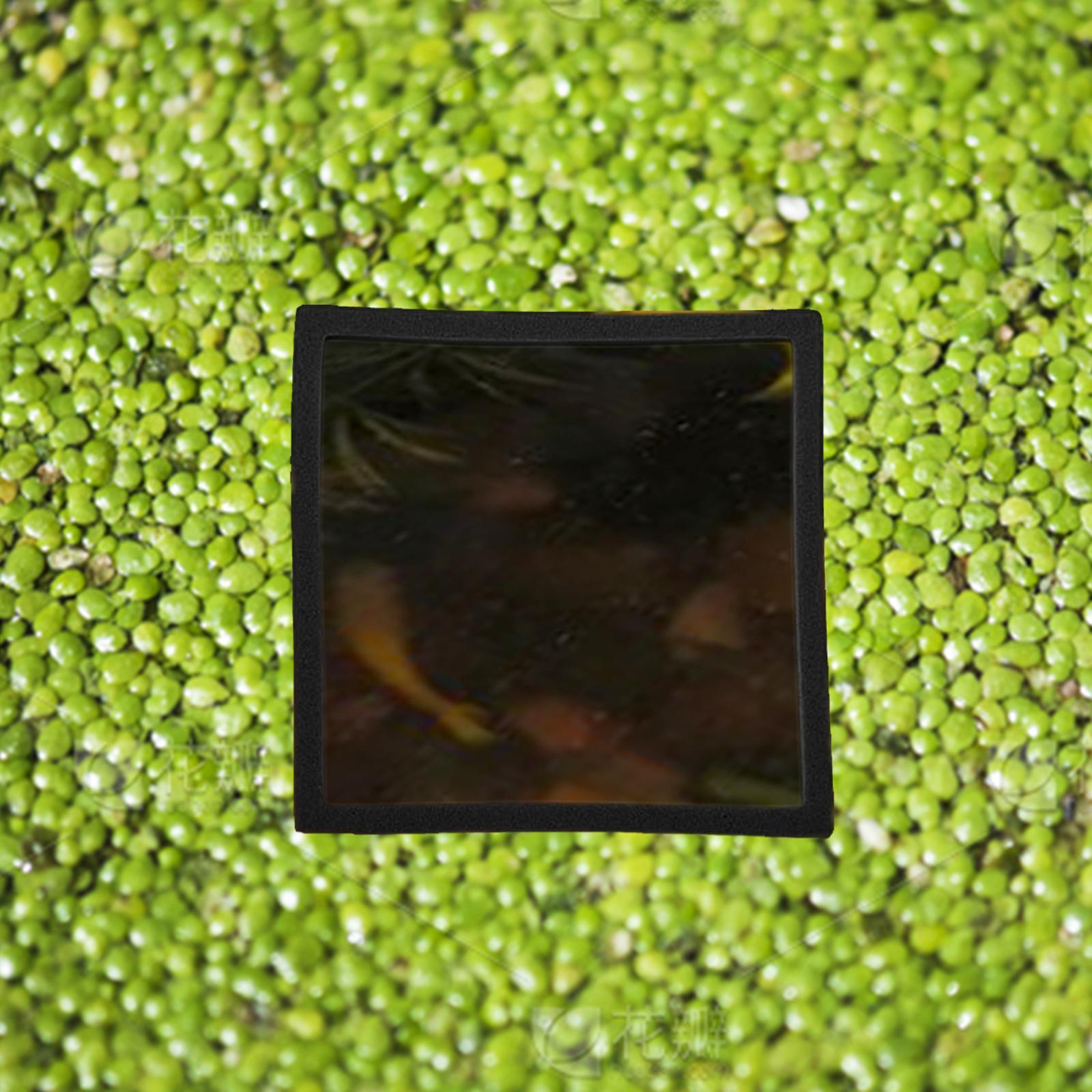 5 Pieces Aquarium Floating Pla - Aquarium Plant Rings recension och pris
