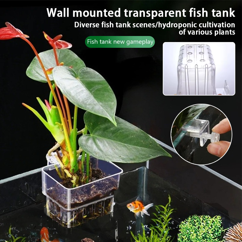 Aquarium Hanging Planter Cups  - Aquarium Plant Rings recension och pris