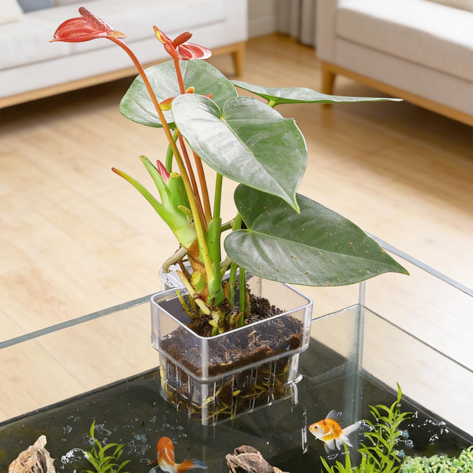Aquarium Plant Basket Transpar - Aquarium Plant Rings recension och pris
