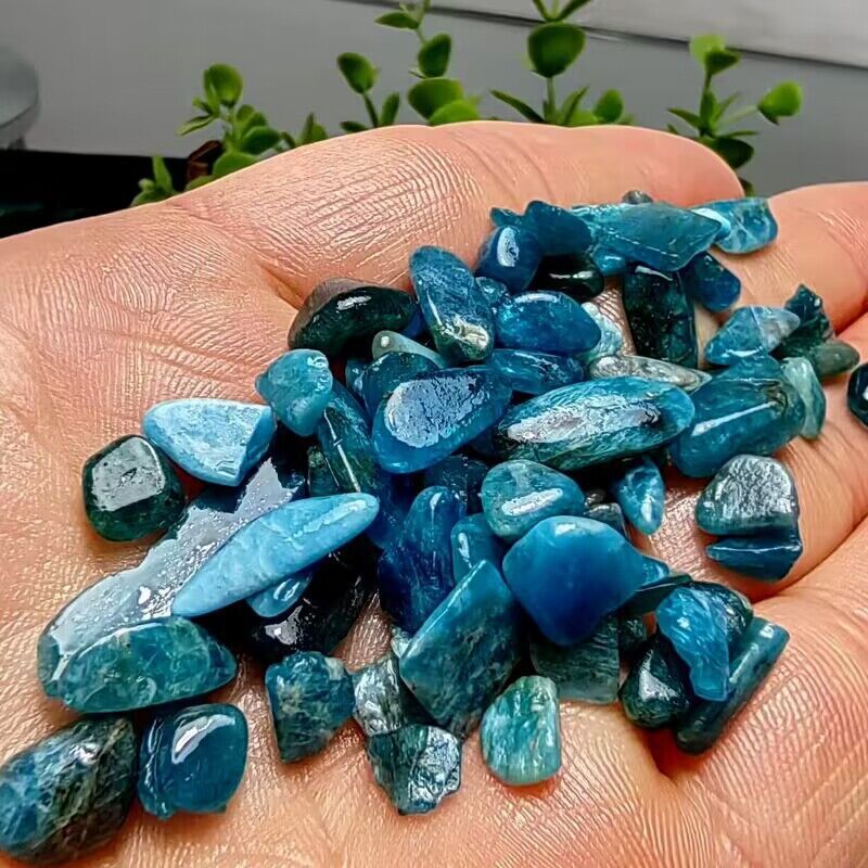 Natural Blue Apatite Crushed C - Planted Aquarium Making recension och pris
