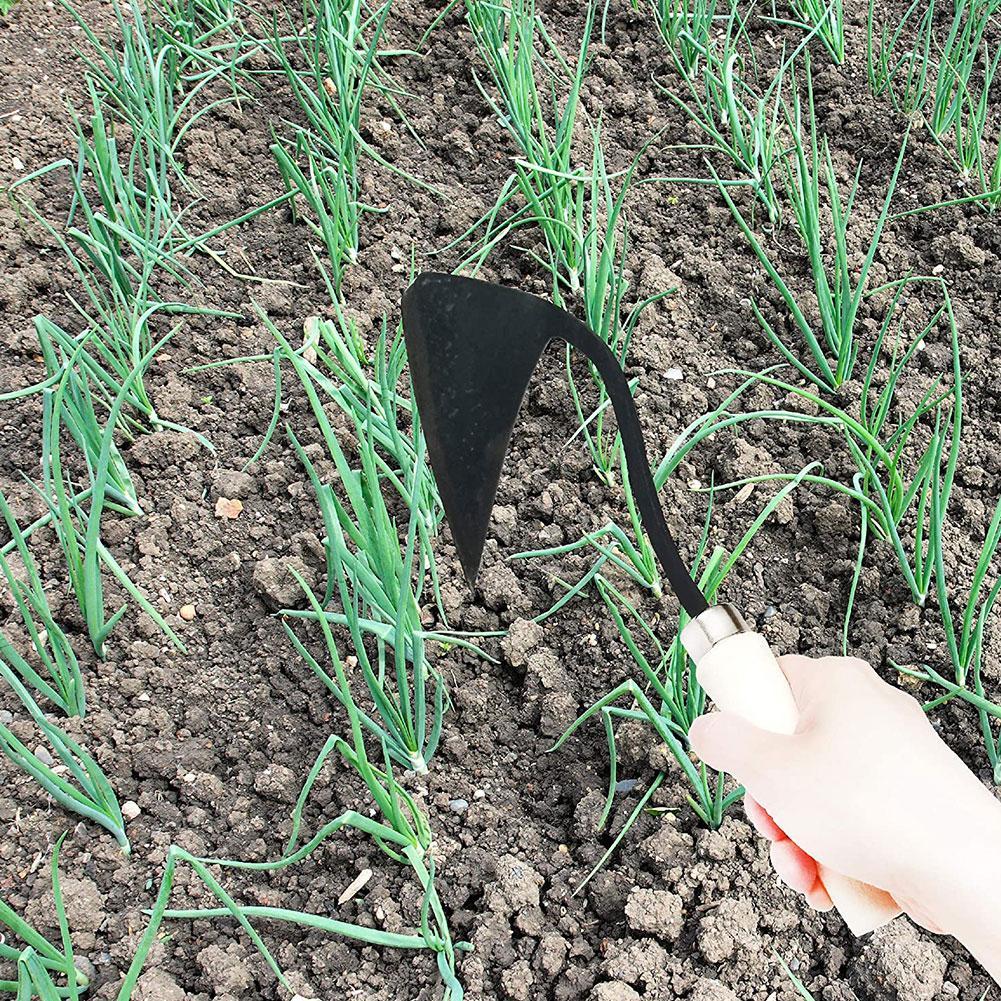 Farm Tools Hoes Triangle Furro - Tissue Culture Plant recension och pris