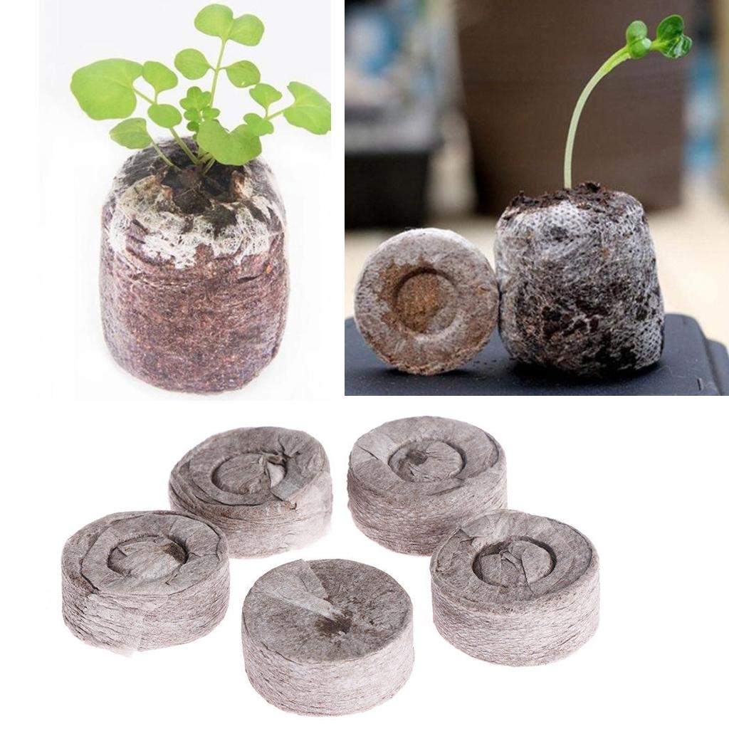 Peat Pellets Seed Starting Plu - Tissue Culture Plant recension och pris