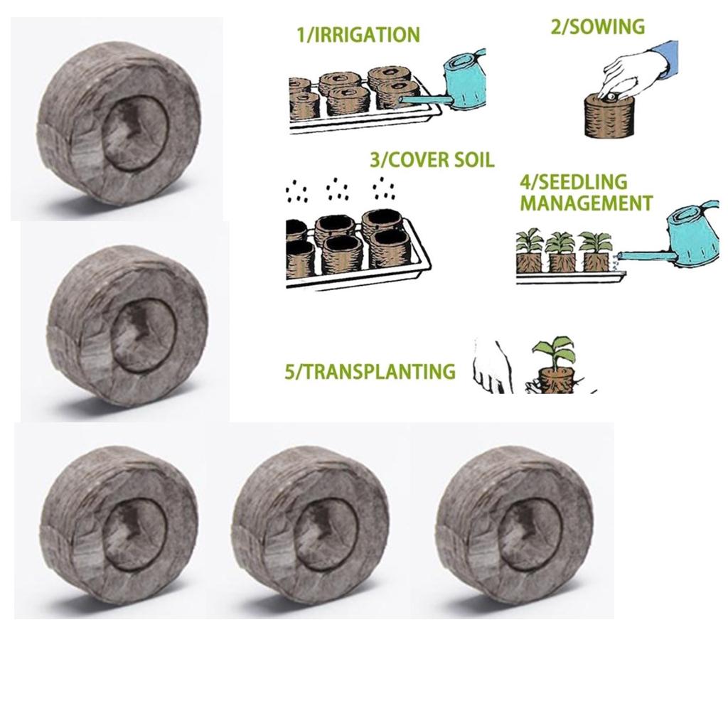 Peat Pellets Seed Starting Plu - Tissue Culture Plant recension och pris