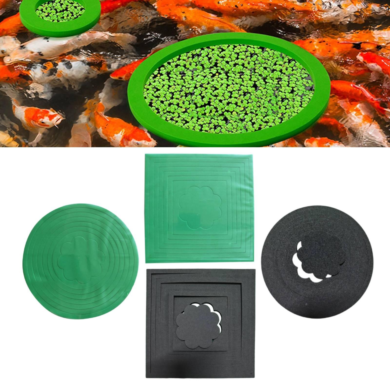 EVA Floating Plant Rings Preve - Aquarium Plant Rings recension och pris