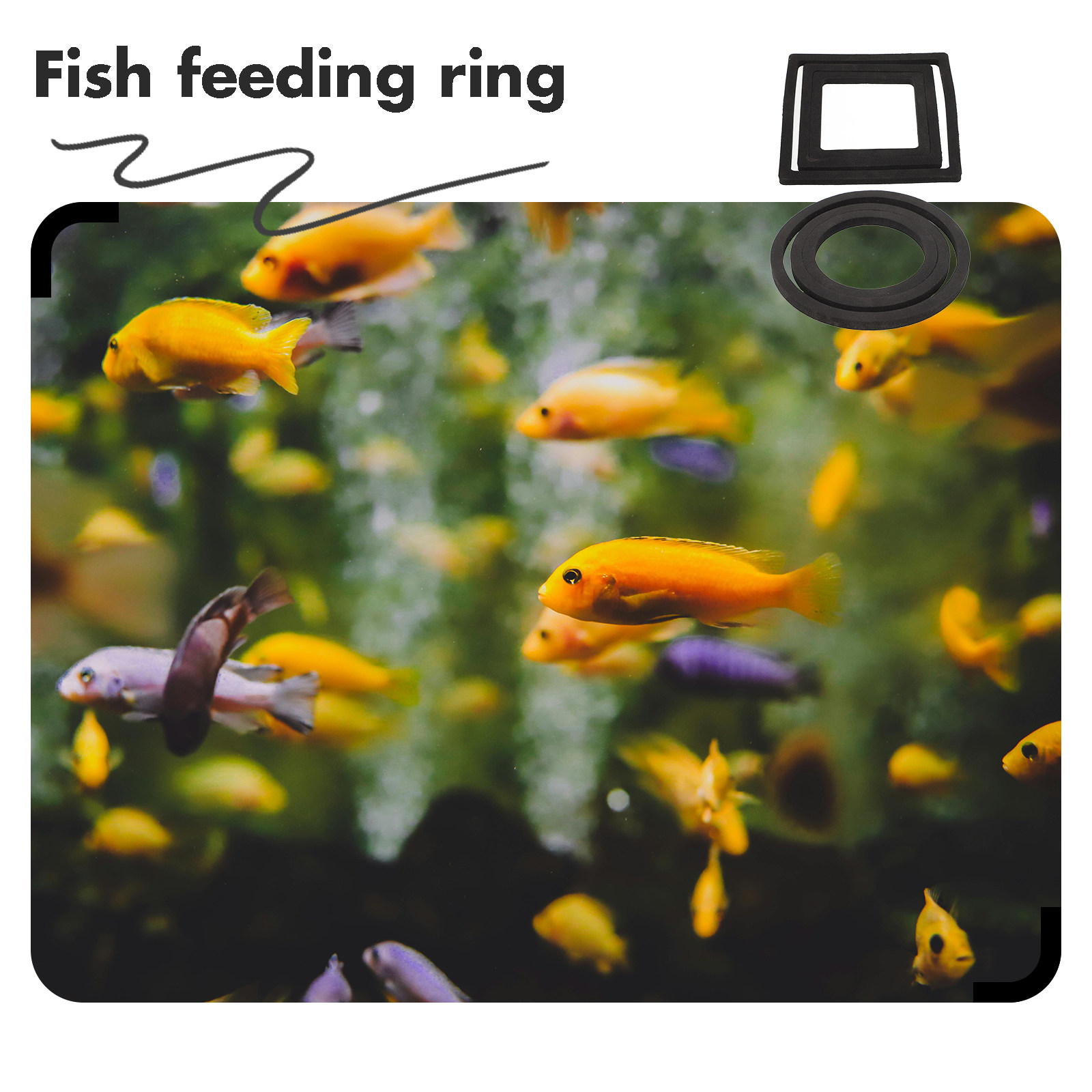 6Pcs Fish Feeding Rings Floati - Aquarium Plant Rings recension och pris