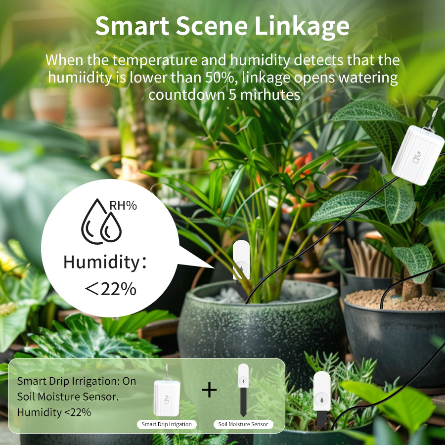 Smart Zigbee 3.0 Soil Tester H - Tissue Culture Plant recension och pris