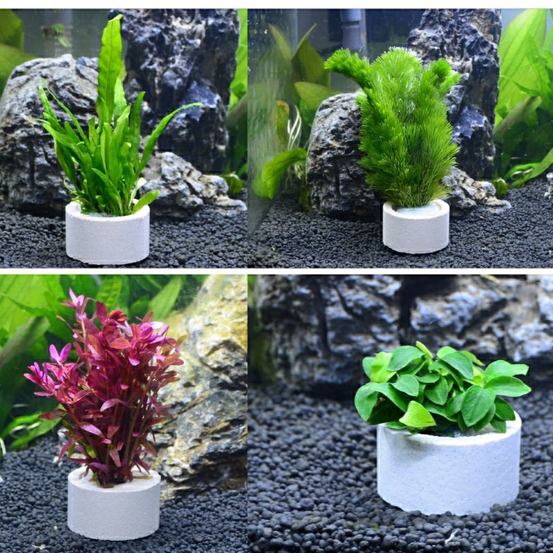 Aquarium Decoration Ceramic Ri - Aquarium Plant Rings recension och pris