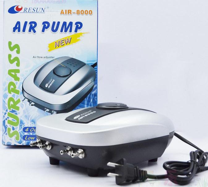 idea for small marine plant ta - Aquarium Plant Ideas recension och pris