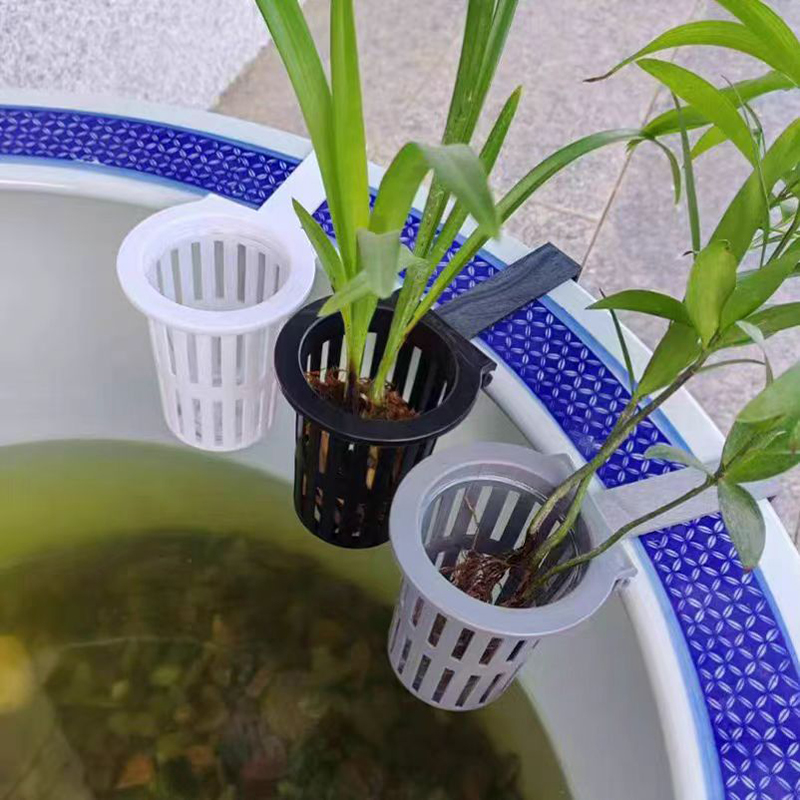 1/3Pcs Aquarium Plant Basket W - Aquarium Plant Rings recension och pris
