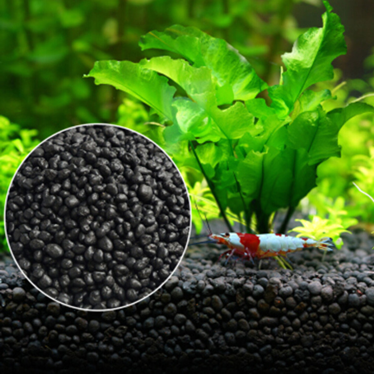 Aquarium Plant Seeds Soil Fish - Tissue Culture Plant recension och pris