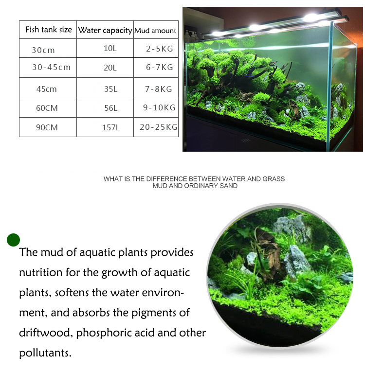 Aquarium Plant Seeds Soil Fish - Tissue Culture Plant recension och pris