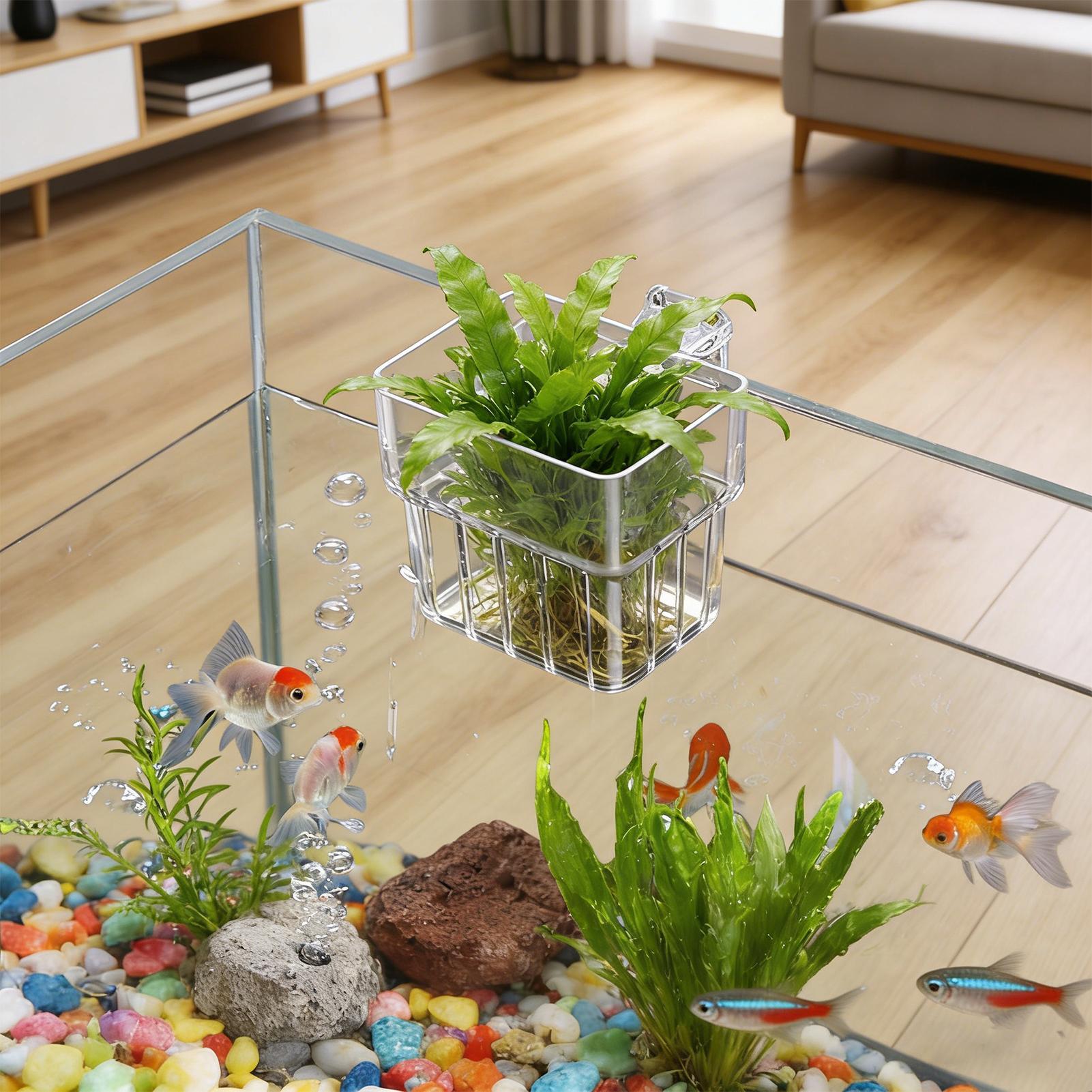 Aquarium Transparent Hanger Po - Aquarium Plant Rings recension och pris