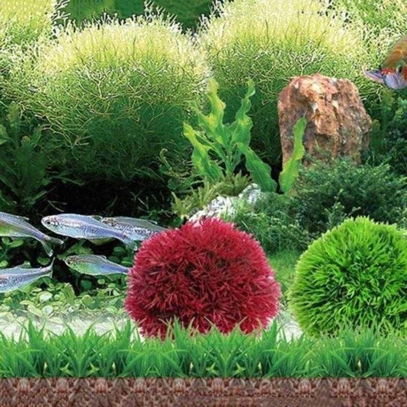 2026 Artificial Aquatic Plasti - Aquarium Plant Rings recension och pris