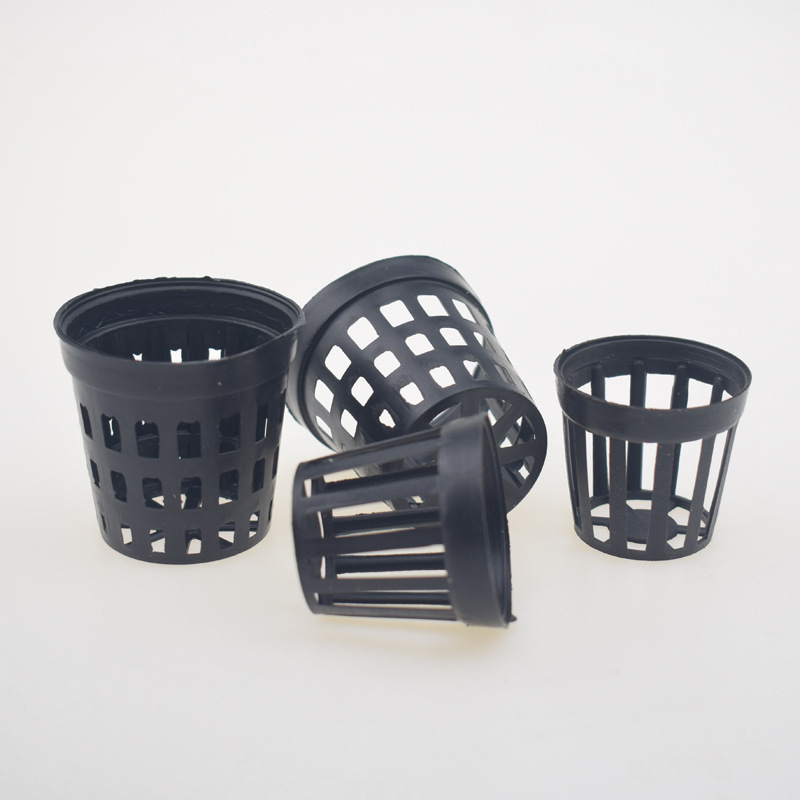 5pcs/lot Fish Tank Plants Plan - Tissue Culture Plant recension och pris