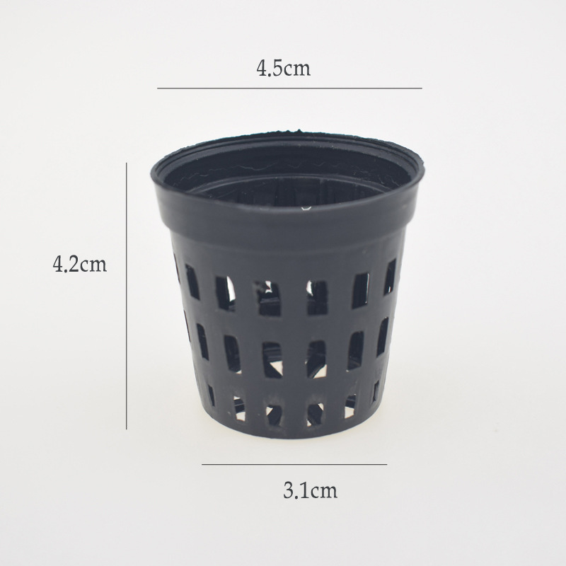 5pcs/lot Fish Tank Plants Plan - Tissue Culture Plant recension och pris