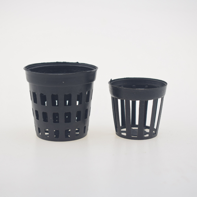 5pcs/lot Fish Tank Plants Plan - Tissue Culture Plant recension och pris