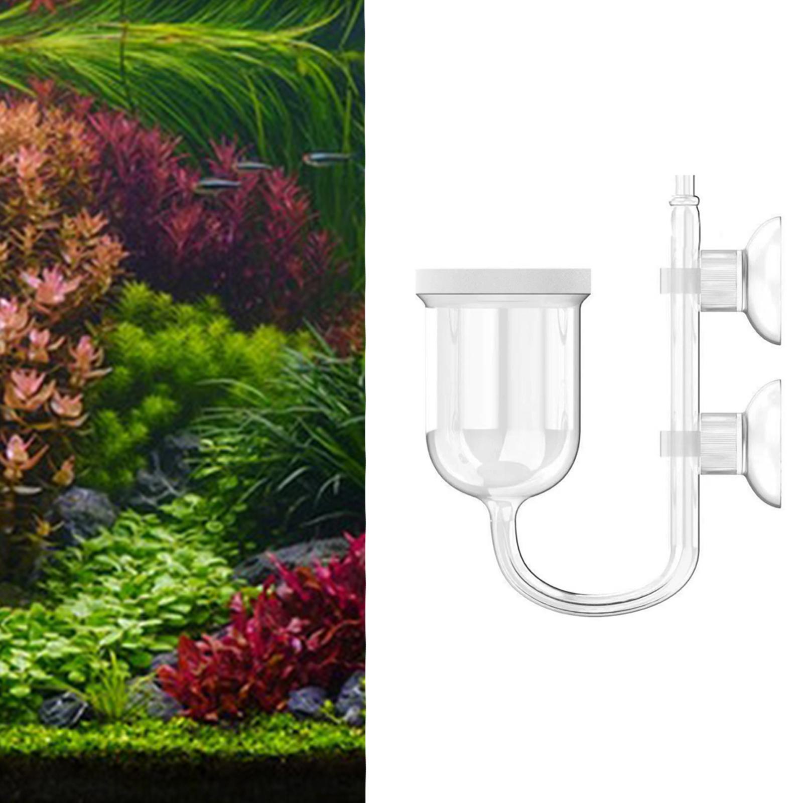 Glass CO2 Diffuser Clear with  - Planted Aquarium Co2 System recension och pris