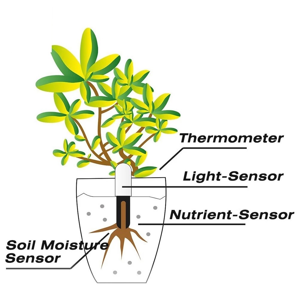 HHCC Flower Monitor Flora Gard - Tissue Culture Plant recension och pris