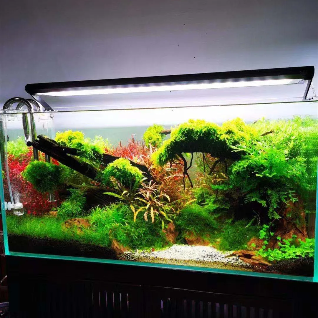 WEEK AQUA P Series Aquarium Fu - Aquarium Plant On Top recension och pris