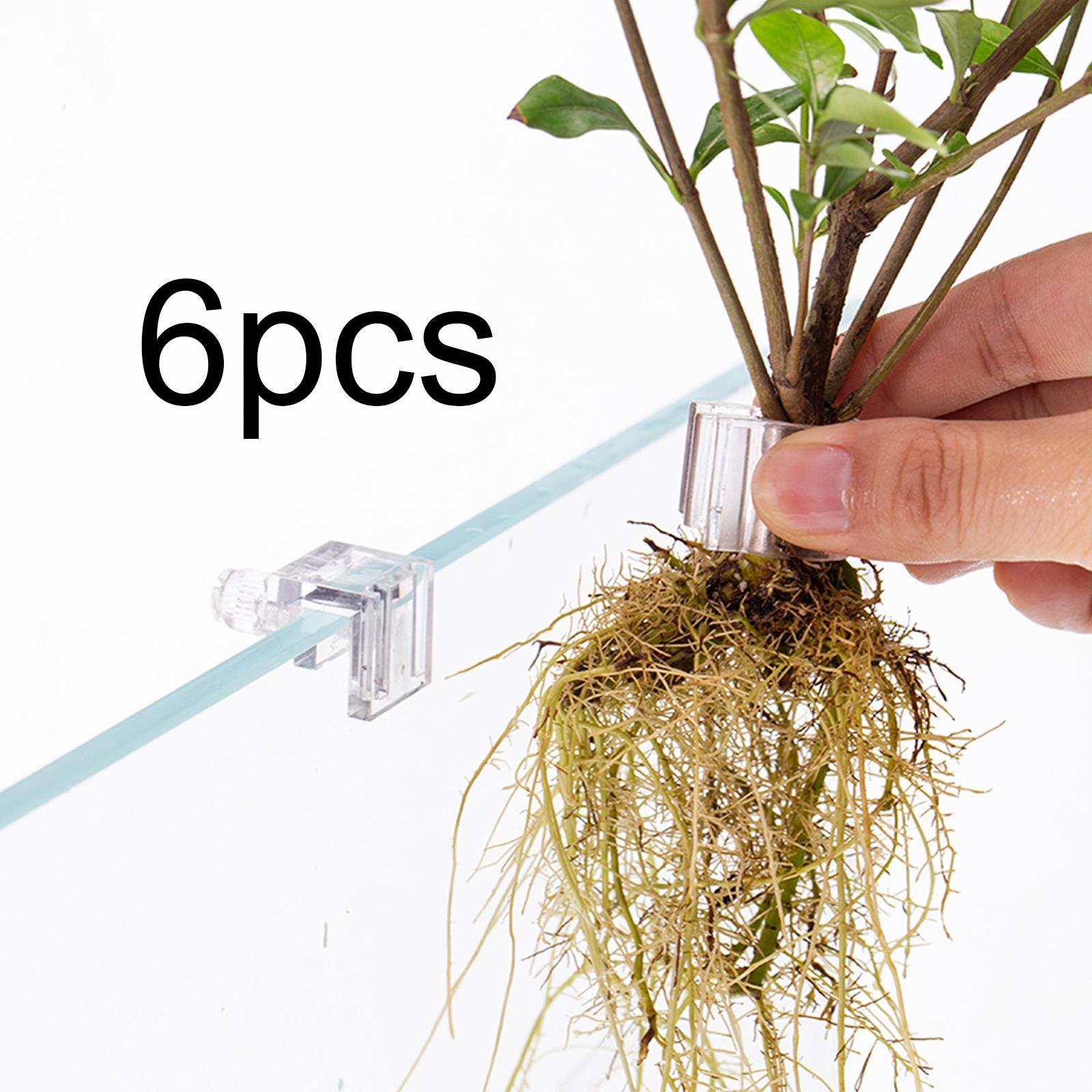 6 Pieces Aquarium Plant Holder - Aquarium Plant On Top recension och pris