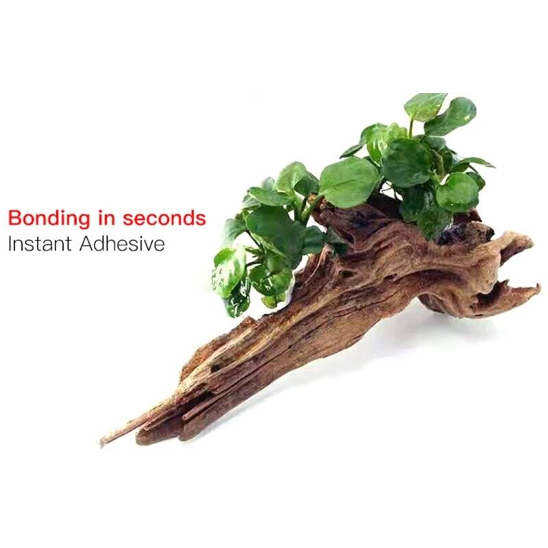 2-5PCS Clear Aquarium Plant Gl - Aquarium Plant Glue Gel recension och pris